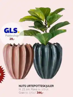 Daells Bolighus NUTS URTEPOTTESKJULER tilbud