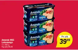 Fakta Tyskland Amanda MSC Luksusrogn tilbud