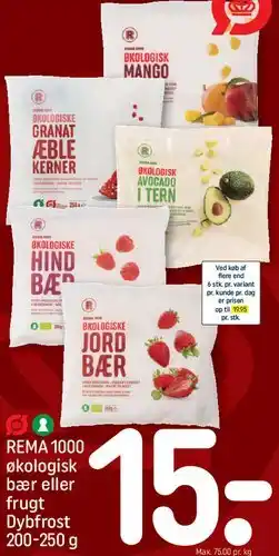 REMA 1000 REMA 1000 økologisk bær eller frugt (dybfrost) tilbud