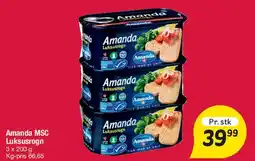 Fakta Tyskland Amanda MSC Luksus tilbud