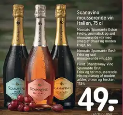 REMA 1000 Scanavino mousserende vin, Italien, 75 cl tilbud