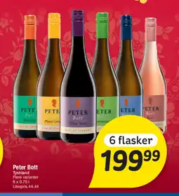 Fakta Tyskland Peter Bott tilbud