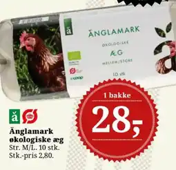 Dagli'Brugsen Änglamark økologiske æg tilbud