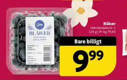 Løvbjerg Blåbær tilbud