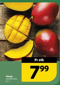 Løvbjerg Mango tilbud