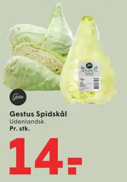 SPAR Gestus Spidskål tilbud