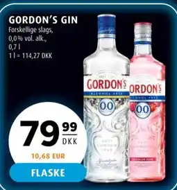 Scandinavian Park GORDON'S Gin tilbud