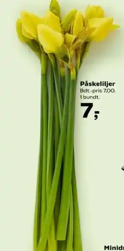 SuperBrugsen Påskeliljer tilbud