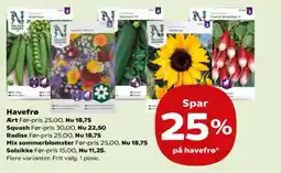 SuperBrugsen Pa Havefrø tilbud