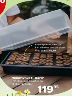 SuperBrugsen Minidrivhus til bord* tilbud