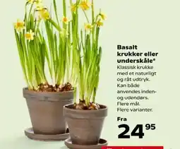 SuperBrugsen Basalt krukker eller underskåle* tilbud