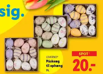 LIVARNOⓇ Påskeæg til ophæng