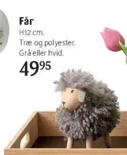 Kop & Kande Får tilbud