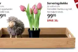 Kop & Kande Serveringsbakke tilbud