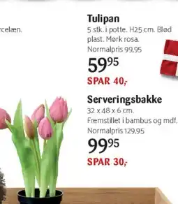 Kop & Kande Tulipan tilbud
