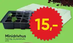 BigDollar Minidrivhus tilbud