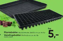 BigDollar Plantebakke tilbud