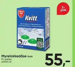 BigDollar Myrelokkedåse kvitt tilbud