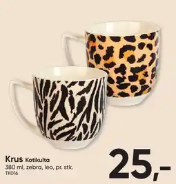 BigDollar Krus Kotikulta tilbud