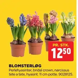 jem & fix BLOMSTERLØG tilbud