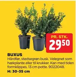jem & fix BUXUS tilbud