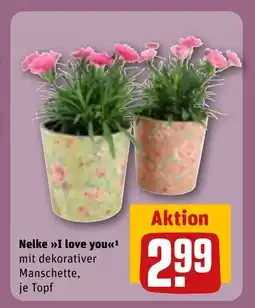 REWE DE Nelke i love you tilbud