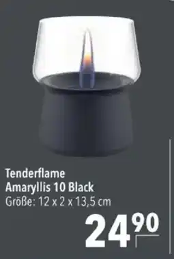 Citti Tenderflame Amaryllis 10 Black tilbud