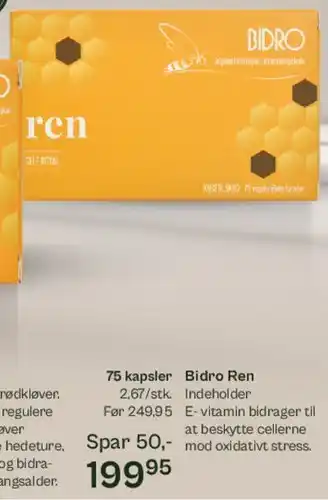 Bidro Ren