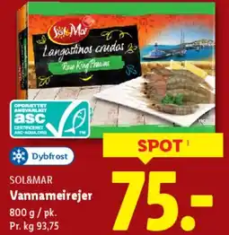 Lidl Vannemar rejer tilbud