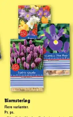 Lidl Blomsterløg tilbud