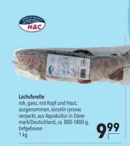 Citti Lachsforelle tilbud