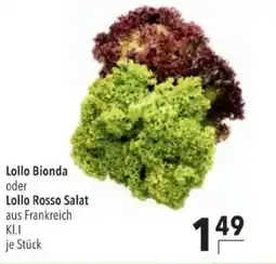 Citti Lollo Bionda oder Lollo Rosso Salat tilbud