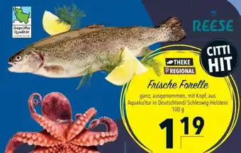 Citti Frische Forelle tilbud