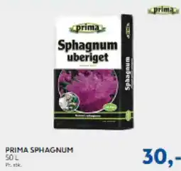 Davidsen Prima Sphagnum tilbud