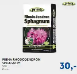 Davidsen Prima Rhododendron sphagnum tilbud