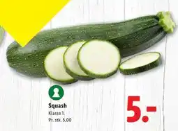 Lidl Squash tilbud