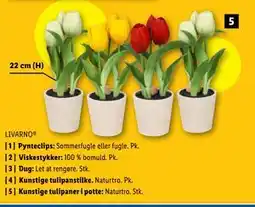 Lidl Kunstige tulipaner i potte tilbud