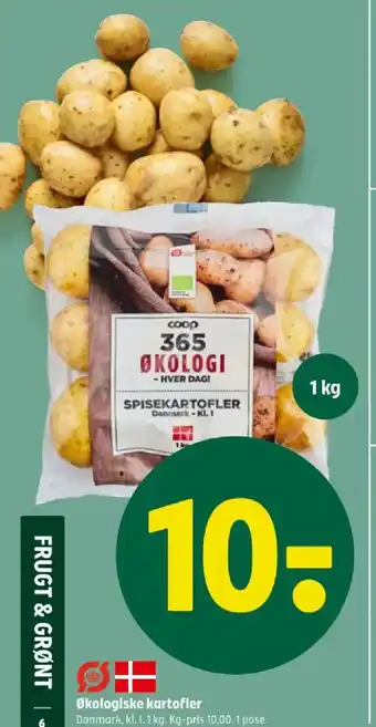 Økologiske kartofler