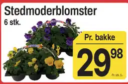 ABC Lavpris Stedmoderblomster tilbud