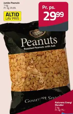Fleggaard Jumbo Peanuts (Roasted Peanuts with Salt) tilbud