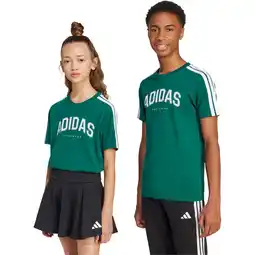Sport 24 adidas Codes Collegiate Graphic T-shirt Børn tilbud