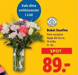 Lidl Buket Josefine tilbud