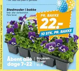 Bilka Stedmoder i bakke tilbud