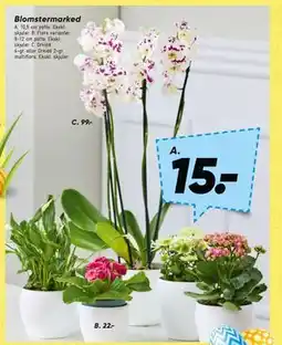 Bilka Orkidé 4-gr. eller Orkidé 2-gr tilbud