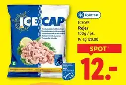 Lidl Rejer tilbud