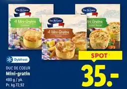 Lidl Mini-gratin tilbud