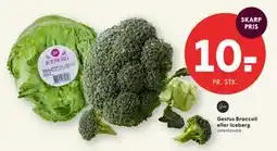 SPAR Gestus Broccoli eller Iceberg tilbud