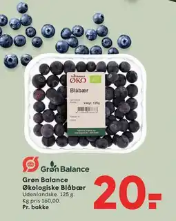 SPAR Grøn Balance Økologiske Blåbær tilbud
