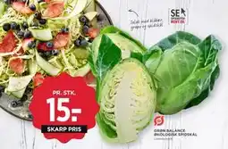 MENY GRØN BALANCE ØKOLOGISK SPIDSKÅL tilbud