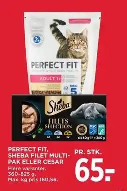 MENY PERFECT FIT, SHEBA FILET MULTIPAK ELLER CESAR tilbud